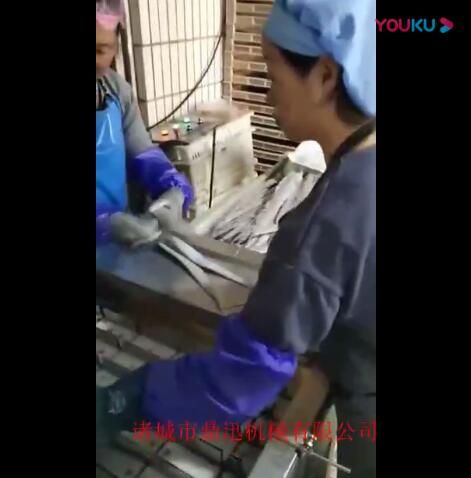 刀鱼段切块机