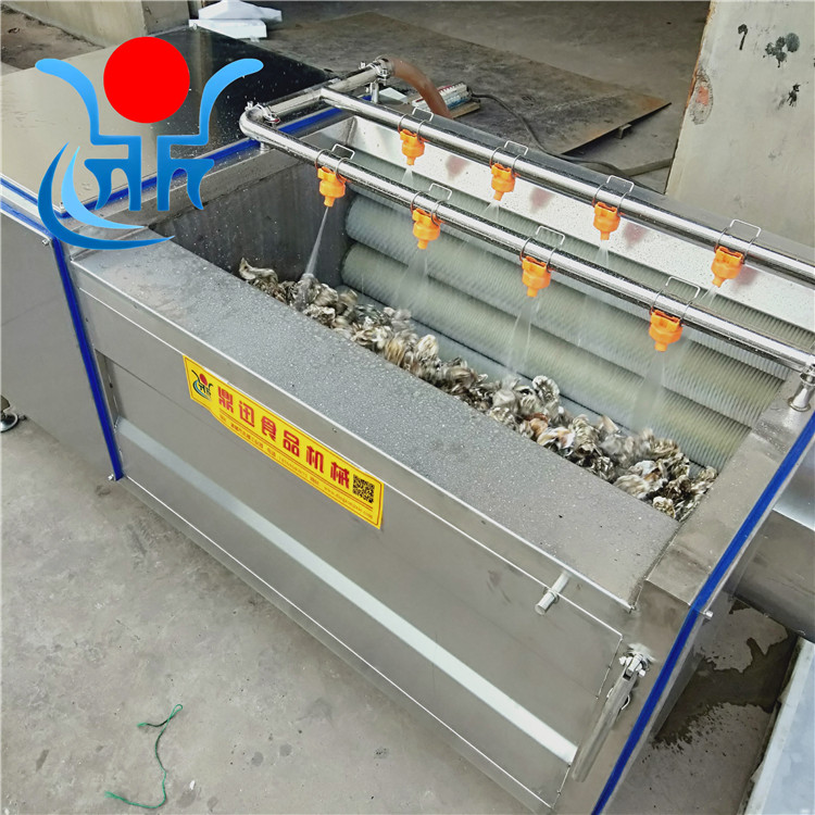 土豆去皮清洗机 毛刷清洗机