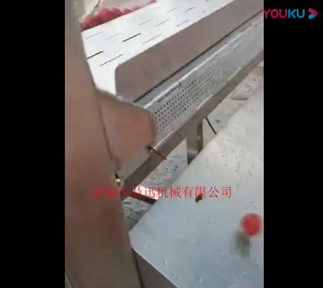 气泡清洗机
